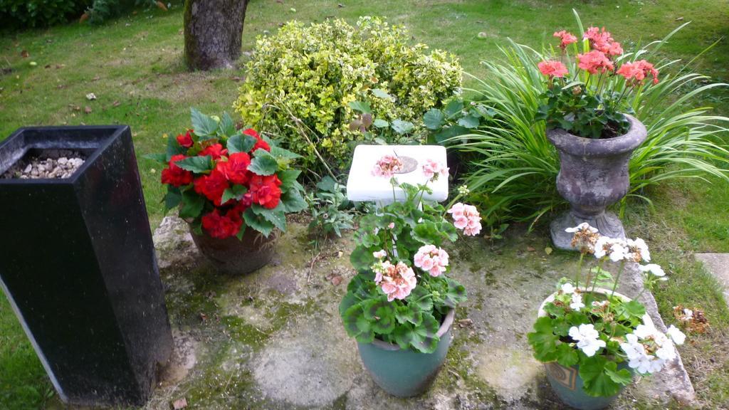 Appartamento Hopewell self-catering Gravesend Esterno foto