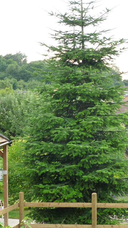 Appartamento Hopewell self-catering Gravesend Esterno foto