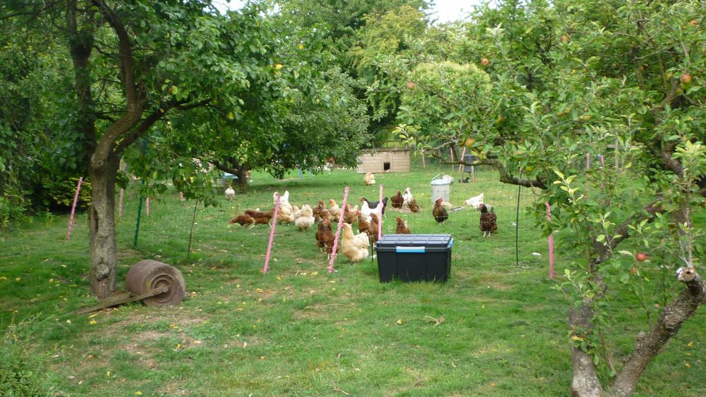 Appartamento Hopewell self-catering Gravesend Esterno foto